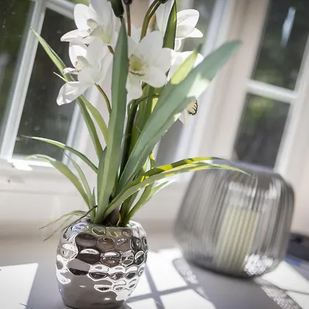 Koeoevenhues App 1 * Wenningstedt-Braderup